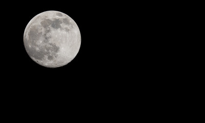 Wall Mural - Closeup of a Full Moon in a Black Sky