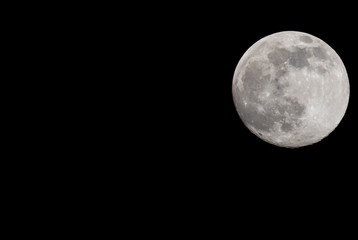 Wall Mural - Closeup of a Full Moon in a Black Sky