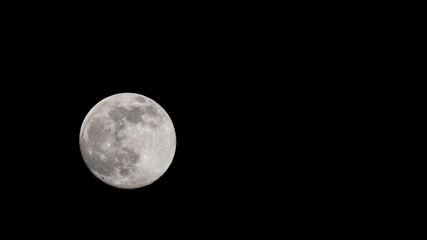 Wall Mural - Closeup of a Full Moon in a Black Sky