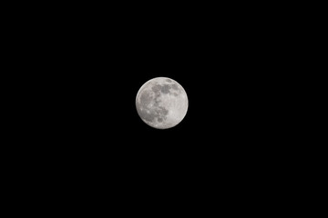 Wall Mural - Closeup of a Full Moon in a Black Sky
