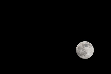 Wall Mural - Closeup of a Full Moon in a Black Sky