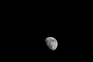Wall Mural - Closeup of a Three Quarter Moon in a Black Sky