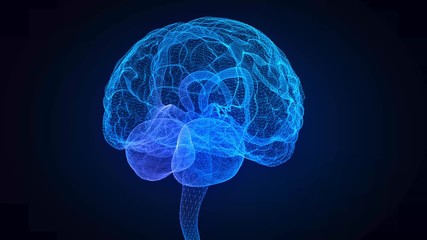 Aufkleber - Rotating human brain. Glowing blue light line of human brain model. Seamless looping motion animated neurons in 3d virtual space.