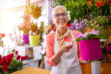 Mature Smiling Florist Shop Owner Surrounded By Flowers. Beautiful Mature Female , Smiling Works At Flower Shop. Portrait Of Mature Female Florist With Flower Box Looking At Camera