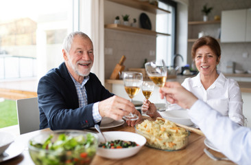 Wall Mural - Group of senior friends at dinner party at home, clinking glasses.