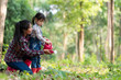 © freebird7977 - Asian family mom and kid daughter plant sapling tree outdoors in nature spring for reduce global warming growth feature and take care nature earth. People kid girl in forest background