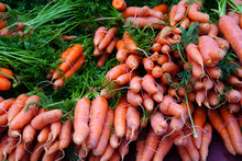 Fresh Carrots Bunches For Sale At A Farmers Market