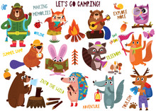 Big Collection Of Cute Camping Animals In Hand Drawn Style. Set Of Woodland Animals Characters Isolated On White Background.