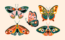 Hand Drawn Various Beautiful Butterflies. Colorful Vector Set. Top View. Side View. Pastel Colors. Trendy Illustration. All Elements Are Isolated 
