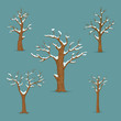 Set of bare, leafless trees with snow covered branches isolated on blue background. Winter, late autumn season icon, symbol.