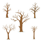 Fototapeta Sypialnia - Set of bare, leafless trees with empty branches isolated on a white background. Vector winter, autumn icon.