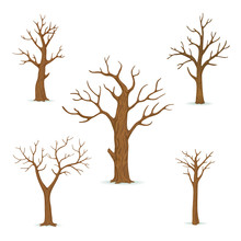Set Of Bare, Leafless Trees With Empty Branches Isolated On A White Background. Vector Winter, Autumn Icon.