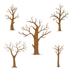set of bare, leafless trees with empty branches isolated on a white background. vector winter, autum