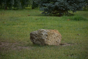 large stone outdoors on grass