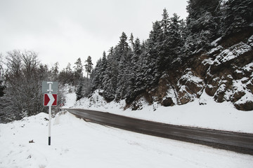 Wall Mural - snowy road in winter