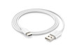 canvas print picture - A white USB type C charger cable, compatible for many devices, wrapped in a spiral shape, isolated on white background.