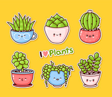 Cute Happy Funny Succulents Plants Set Collection