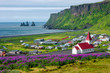 © neurobite - View of basalt stacks Reynisdrangar, black sand beach near Vik and violet lupine flowers and lonely church, South Iceland, summer time