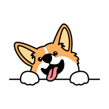 Cute Welsh Corgi Puppy Paws Up Over Wall, Dog Face Cartoon Icon, Vector Illustration