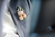 Stylish groom in suit with pink roses boutonniere and bow tie posing, getting ready in morning for wedding ceremony.