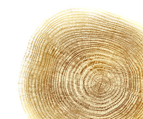 Wall Mural - Light wood texture from a tree trunk with growth rings isolated on white. Natural vintage wood texture.