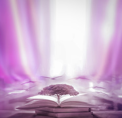 Poster - The blurred book that is bewitched with magic, the magic light in the dark, with the bright light shining down as the power to search for knowledge. For research and use as a blurred background