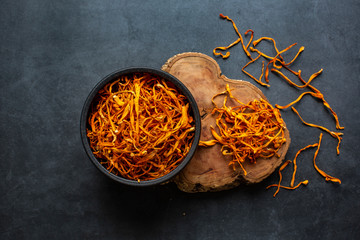 Cordyceps flowers on a dark background