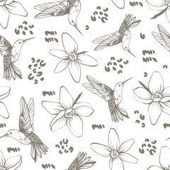 Wall Mural - Vector seamless pattern with colibri.