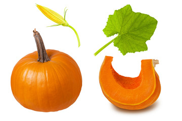 Wall Mural - Pumpkin parts isolated. Set whole pumpkin, sliced slice, green leaf and flower cut on white background