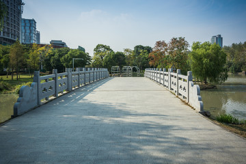 Poster - city park with modern building background