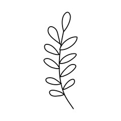  branch with leafs nature ecology isolated icon vector illustration design