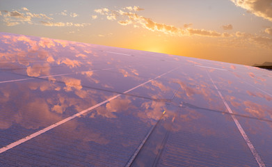 Wall Mural - clean energy concept, photovoltaic panels in the light of the rising sun