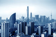 Shanghai Pudong city building