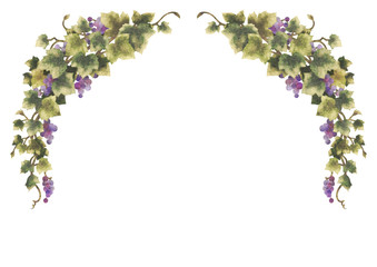 Wall Mural - Grapes illustration frame 11-2