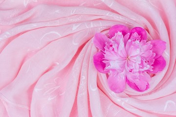 Wall Mural - pink peony flower bud on pink fabric, top view with copy space