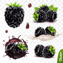 3d Realistic Transparent Isolated Vector Set, Whole And Slice Of Blackberry, Blackberry In A Splash Of Juice With Drops, Blackberry In A Splash Of Milk Or Yogurt