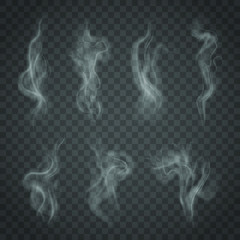 set of isolated smoke on a transparent background. white steam from a cup of coffee or tea