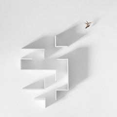 Wall Mural - little bird escape out of a maze, freedom concept