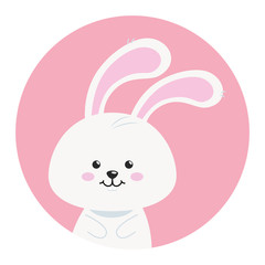 Sticker - cute rabbit animal in frame circular vector illustration design