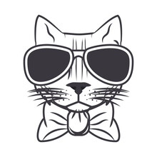 Funny Cat With Sunglasses Cool Style