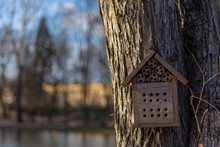 Wooden Bird Feeder On A Large Tree In Early Spring