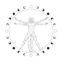 Wall Mural - Vector illustration set of moon phases. Different stages of moonlight activity in vintage engraving style. Zodiac Signs