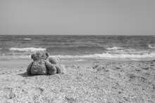 Happy Family On Summer Vacation At Seaside Concept. 3 Cute Brown Teddy Bears Sit At Tropical Beach Near Wavy Blue Marine Water Like Real Family Hugging. Toy Father, Mother And Child. Black And White.
