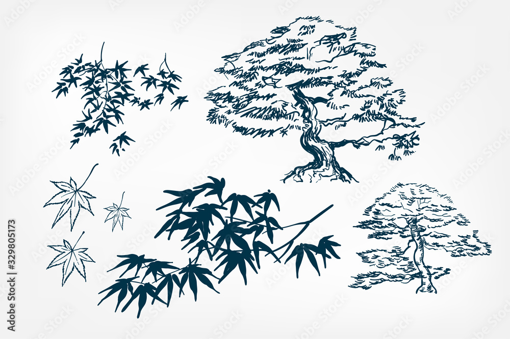 Japanese Tree Branch Drawing