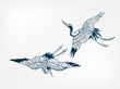 crane japanese vector sketch illustration engraved chinese