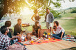 Picnic in the countryside. Group of young friends, at sunset on spring day are sitting on the ground in a park near trees. They drinking red wine and eating grilled meat with barbecue