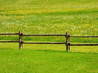 Canvas Print - rural