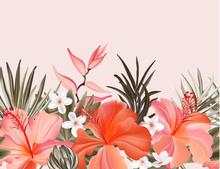 Tropical Hibiscus Plumeria Vintage Graphic  Floral Pampas Grass ,palm Leaves Exotic Orange Pink Frame, Floral Border Seamless Wallpaper. Vector