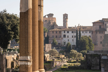 Wall Mural - Top view of the Roman Forum with a view of the Basilica of Maxentius and Roman columns. Panorama from the Vittoriano terrace, Rome, Italy.