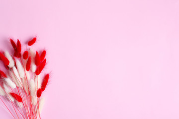 Canvas Print - Festive corner frame with dry soft autumn red and white flowers Lagurus Ovatus grass on a pink background.